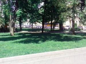 Фотография Покос травы Краснодар 2