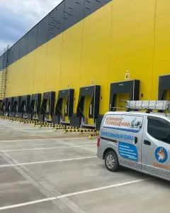 Фотография Clean fox 2