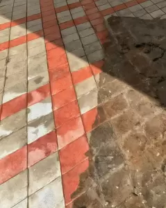 Фотография Clean fox 3