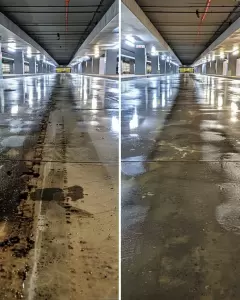 Фотография Clean fox 4