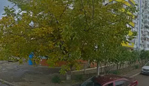 Фотография Актуаль 5